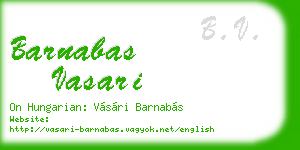 barnabas vasari business card